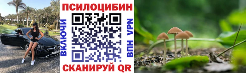 Псилоцибиновые грибы прущие грибы  ОМГ ОМГ ССЫЛКА  Мегион 